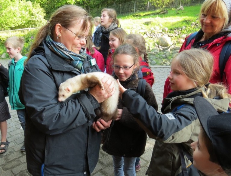 Wildpark Schwarze Berge LokiSchmidtSchule