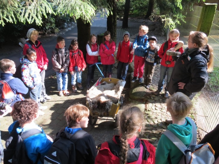 Wildpark Schwarze Berge LokiSchmidtSchule