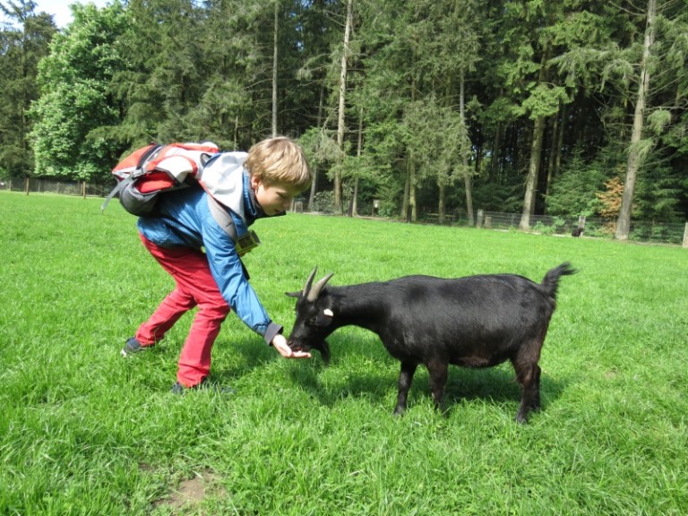 Wildpark Schwarze Berge LokiSchmidtSchule